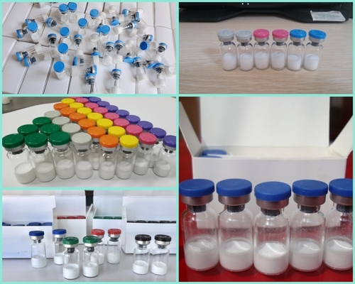 quality Buy Tirzepatide, LL-37 20mg (CAP-18)  99% Purity Lyophilized Powder Vials factory