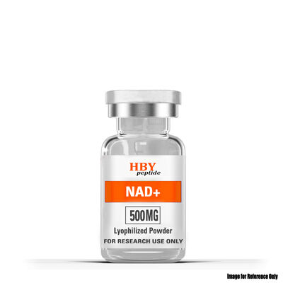 quality NAD+ 동결건조 분말 | 세포 에너지 및 건강한 노화 증진 factory